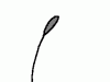 cattail.gif