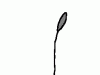 cattail2.gif