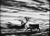 tv - elk