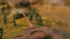 ... tank ...