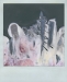 Polaroid misfire: Liz