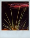 Polaroid misfire: Liz